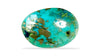 Irani Firoza (Turquoise) 12.07 Carats / 13.26 Ratti