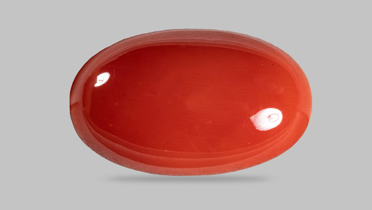 Japanese Red Coral 16.28 Carats / 17.89 Ratti