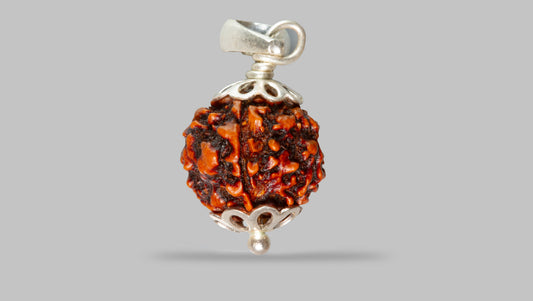 4 MUKHI RUDRAKSHA (18.53 mm)