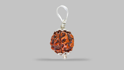 4 MUKHI RUDRAKSHA (18.01 mm)