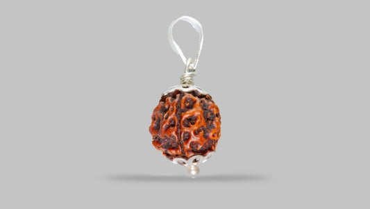 4 MUKHI RUDRAKSHA (18.01 mm)
