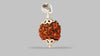 4 MUKHI RUDRAKSHA (18.57 mm)