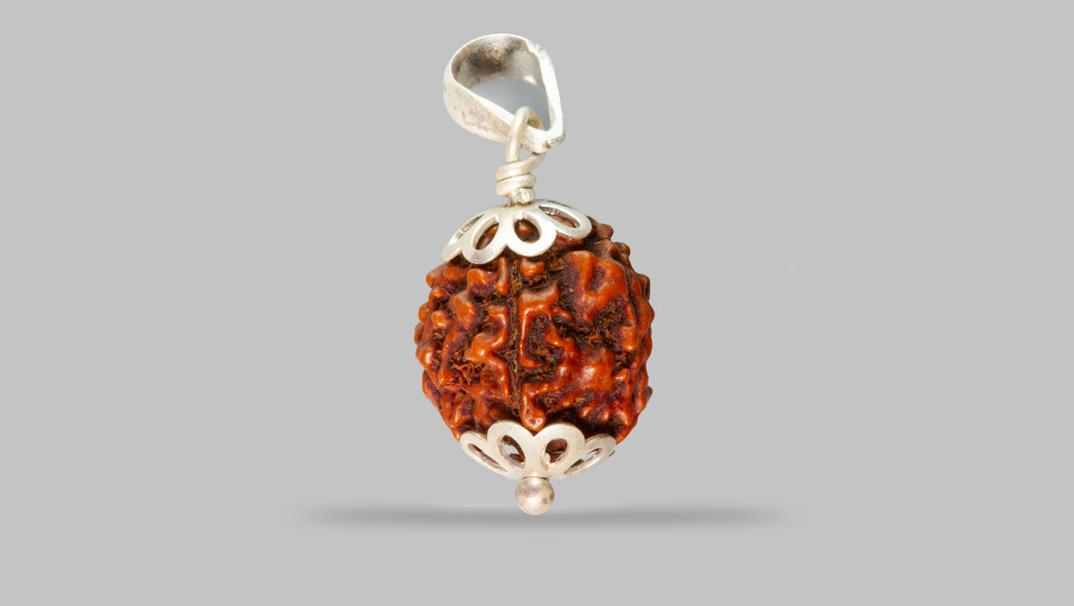 4 MUKHI RUDRAKSHA (18.57 mm)