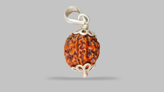 4 MUKHI RUDRAKSHA (19.75 mm)
