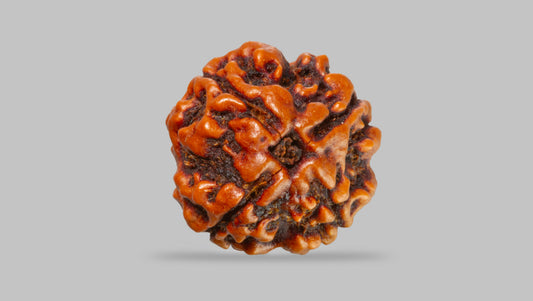 4 MUKHI RUDRAKSHA (17.45 mm) / 12.96 Ratti