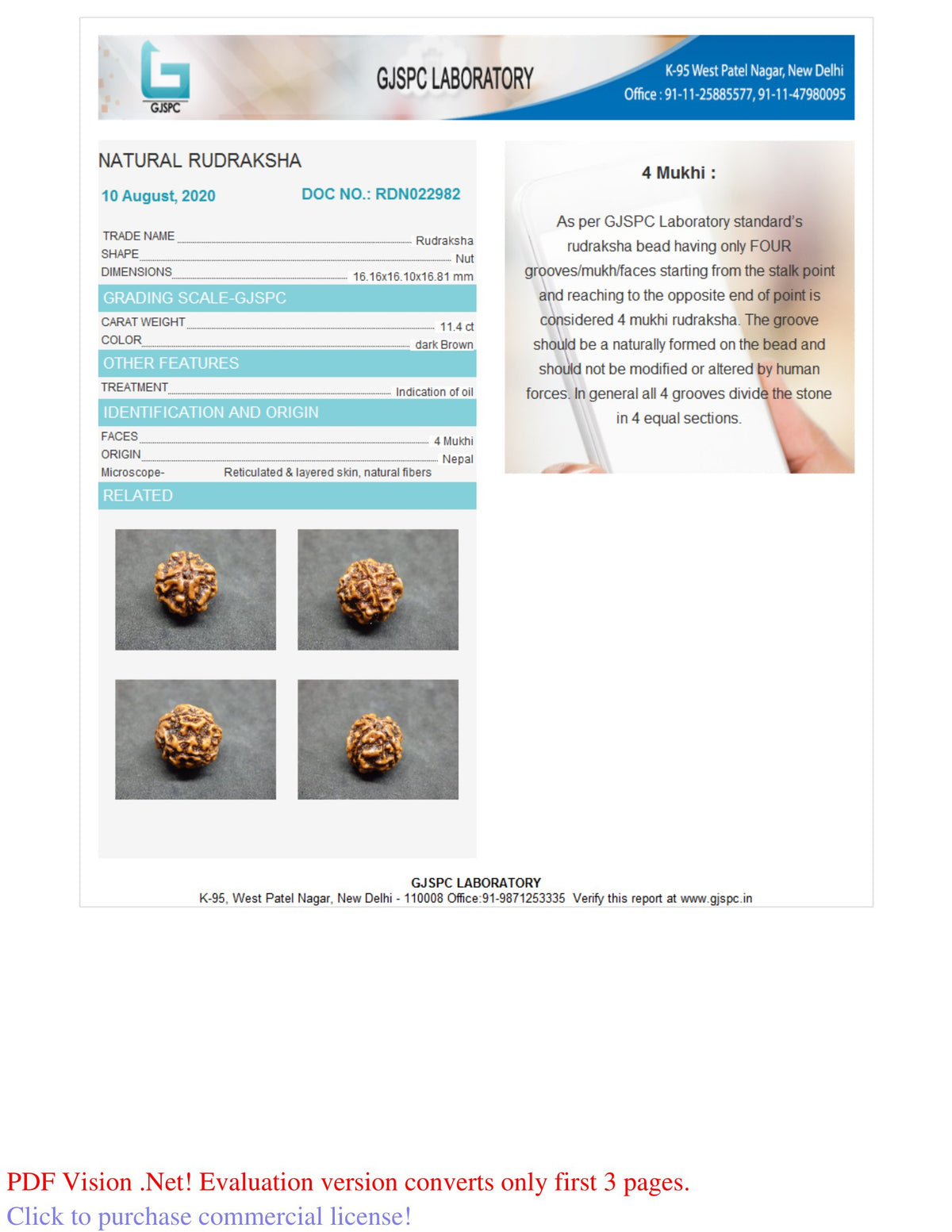 4 MUKHI RUDRAKSHA (16.81 mm) / 12.54 Ratti