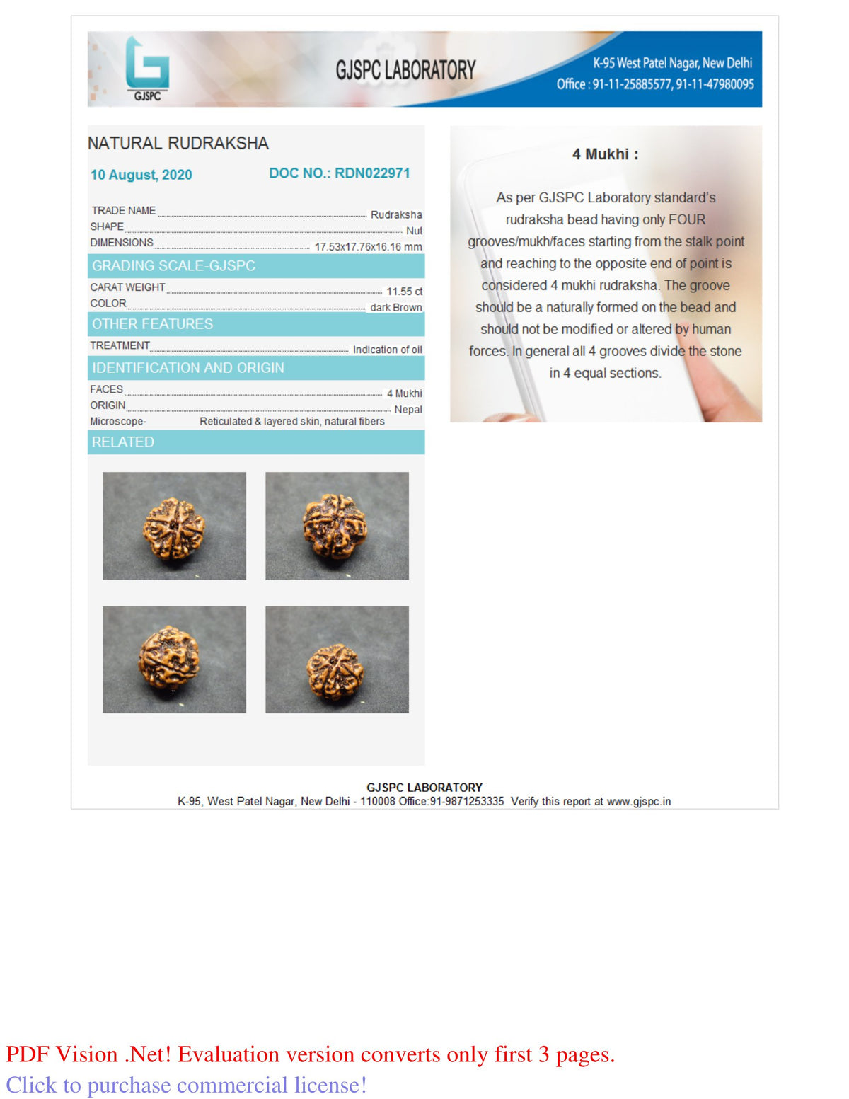 4 MUKHI RUDRAKSHA (17.76 mm) / 12.71 Ratti