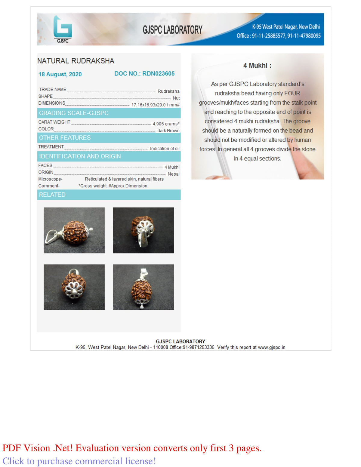 4 MUKHI RUDRAKSHA (20.01mm)