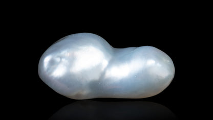 Venezuela Pearl 9.69 Carats / 10.65 Ratti