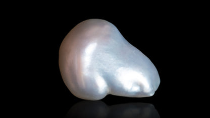 Venezuela Pearl 8.26 Carats / 9.08 Ratti