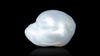 Venezuela Pearl 8.69 Carats / 9.55 Ratti