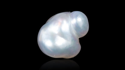 Venezuela Pearl 7.59 Carats / 8.34 Ratti