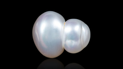 Venezuela Pearl 12.31 Carats / 13.53 Ratti
