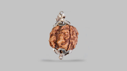 3 MUKHI RUDRAKSHA (19.83 mm)