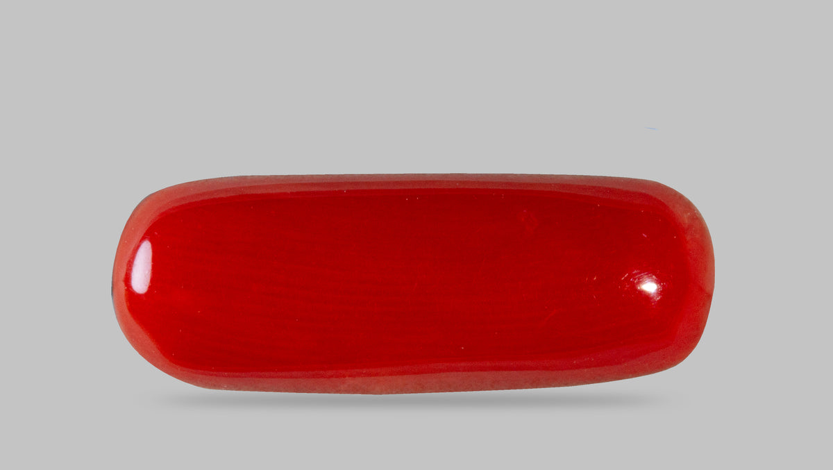 Italian Red Coral 7.87 Carats / 8.65 Ratti