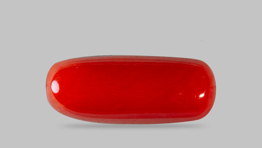Italian Red Coral 8.40 Carats / 9.23 Ratti