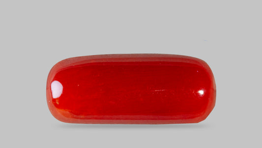 Italian Red Coral 7.61 Carats / 8.36 Ratti