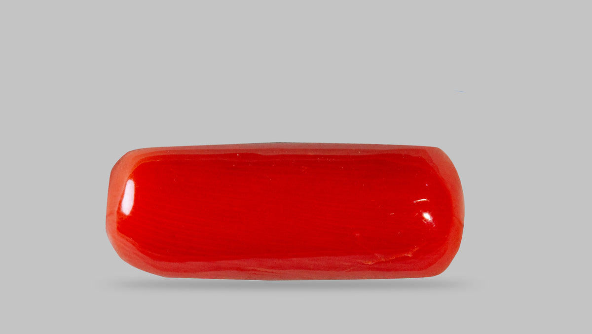 Italian Red Coral 7.62 Carats / 8.37 Ratti