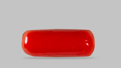 Italian Red Coral 7.62 Carats / 8.37 Ratti