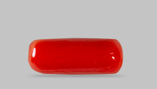 Italian Red Coral 7.62 Carats / 8.37 Ratti
