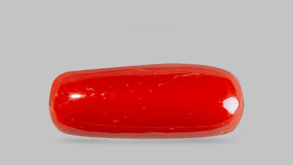 Italian Red Coral 7.71 Carats / 8.47 Ratti