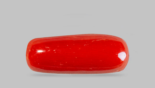 Italian Red Coral 7.71 Carats / 8.47 Ratti