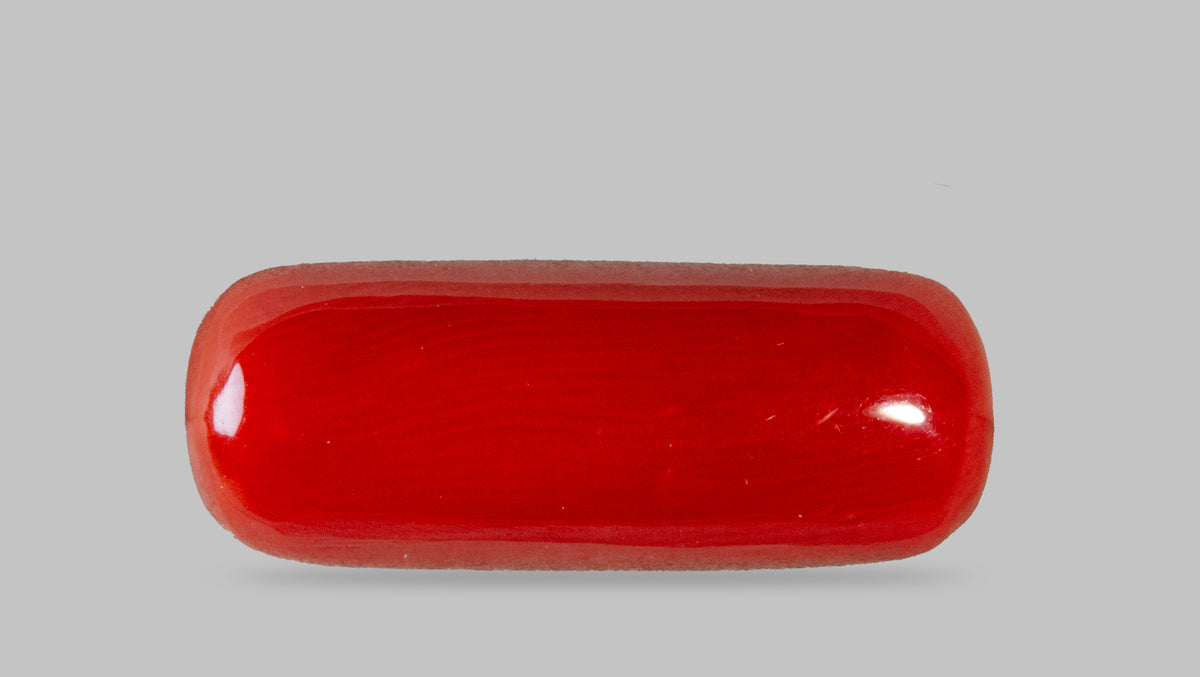 Italian Red Coral 8.40 Carats / 9.23 Ratti