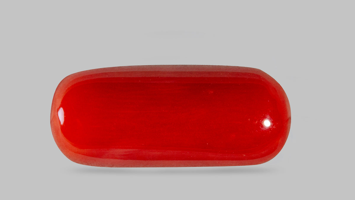 Italian Red Coral 8.28 Carats / 9.1 Ratti