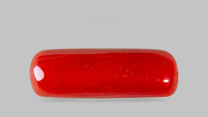 Italian Red Coral 7.69 Carats / 8.45 Ratti
