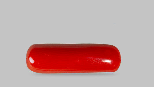 Italian Red Coral 7.19 Carats / 7.9 Ratti
