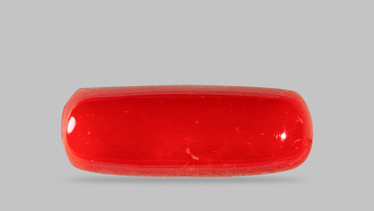 Italian Red Coral 7.88 Carats / 8.66 Ratti