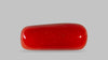 Italian Red Coral 7.06 Carats / 7.76 Ratti