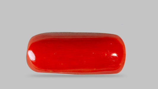 Italian Red Coral 8.40 Carats / 9.23 Ratti