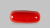 Italian Red Coral 8.39 Carats / 9.22 Ratti