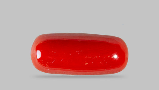 Italian Red Coral 8.39 Carats / 9.22 Ratti