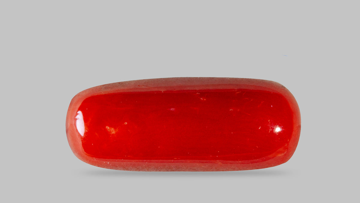 Italian Red Coral 8.18 Carats / 8.99 Ratti