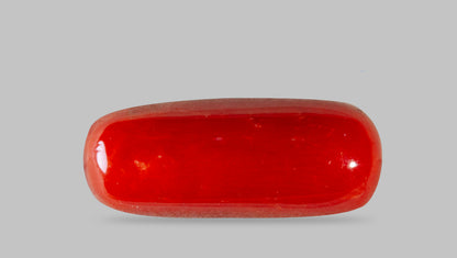 Italian Red Coral 8.18 Carats / 8.99 Ratti