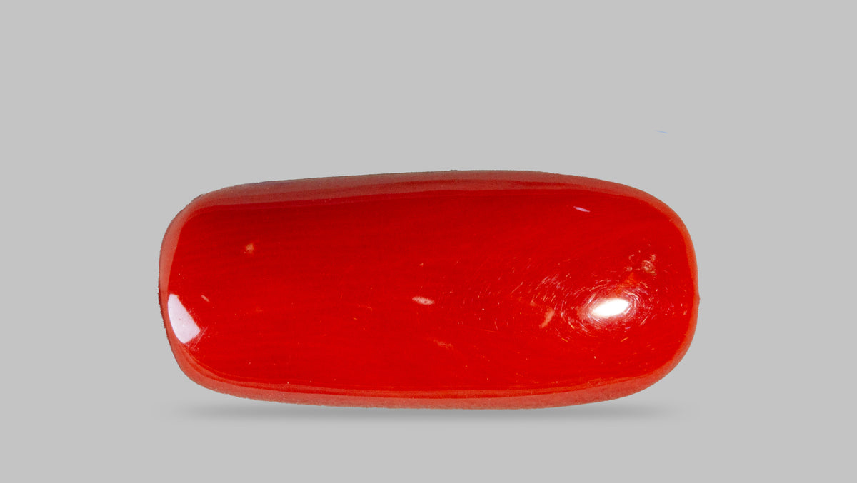 Italian Red Coral 8.68 Carats / 9.54 Ratti