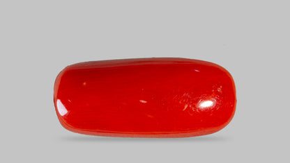 Italian Red Coral 8.68 Carats / 9.54 Ratti