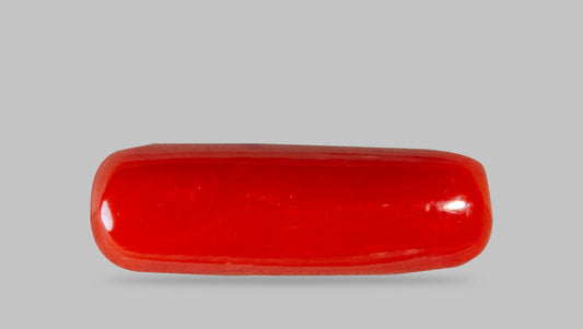 Italian Red Coral 7.30 Carats / 8.02 Ratti