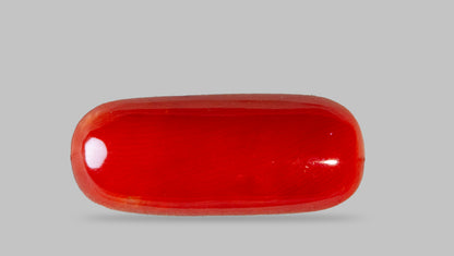 Italian Red Coral 7.73 Carats / 8.49 Ratti