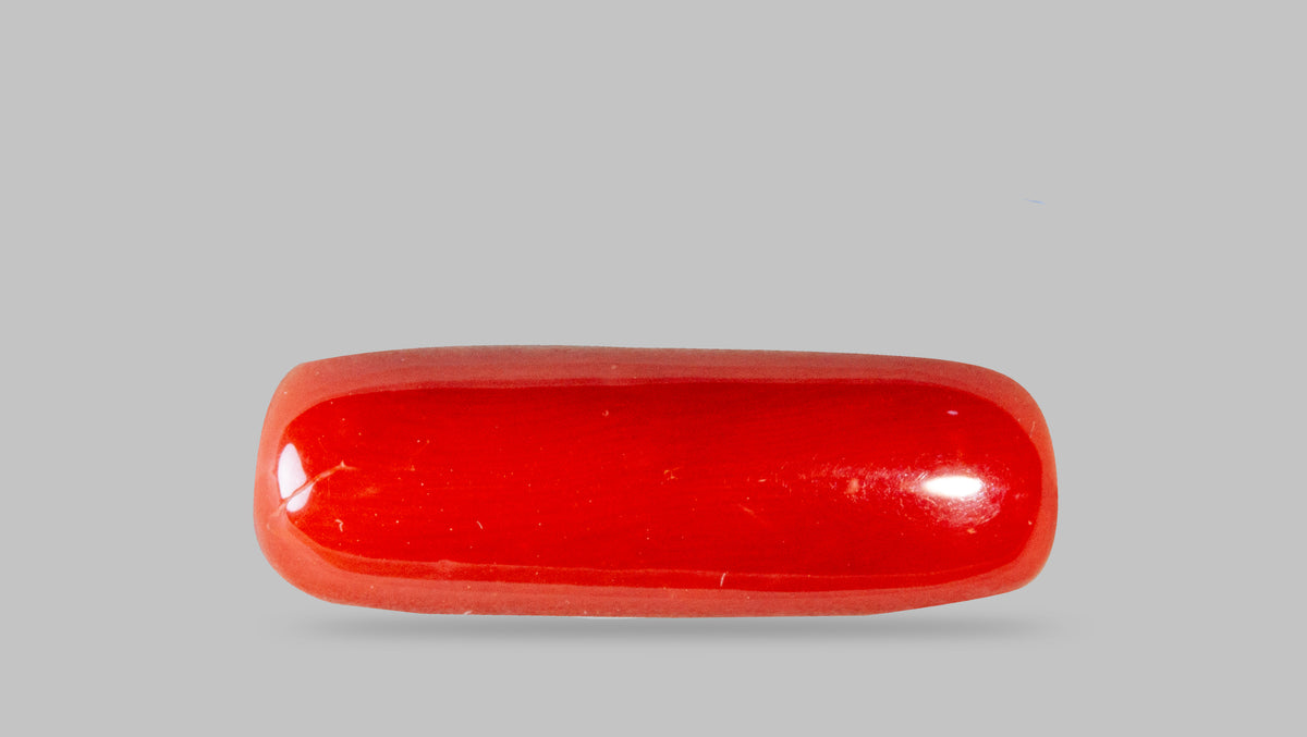 Italian Red Coral 7.29 Carats / 8.01 Ratti