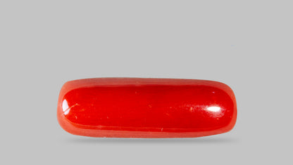 Italian Red Coral 7.29 Carats / 8.01 Ratti