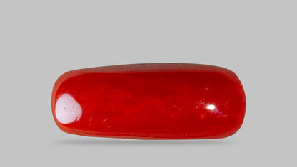 Italian Red Coral 7.82 Carats / 8.59 Ratti