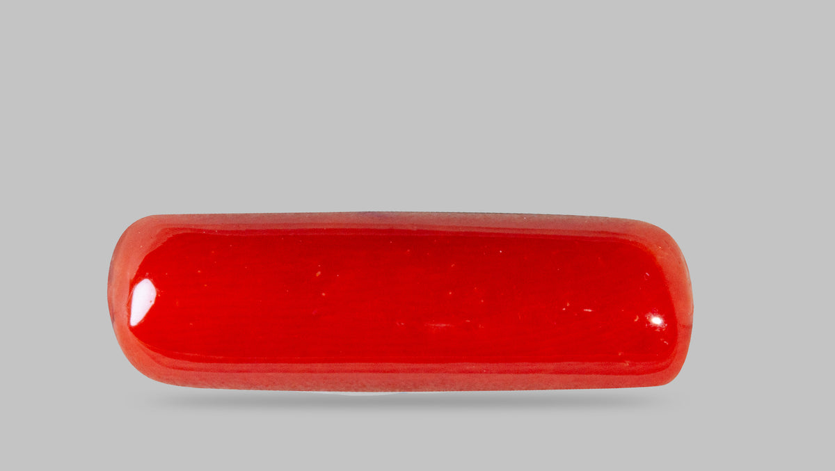 Italian Red Coral 7.01 Carats / 7.7 Ratti