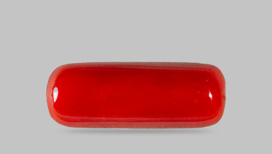 Italian Red Coral 8.46 Carats / 9.3 Ratti