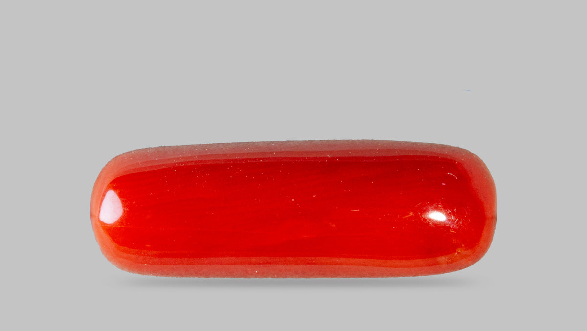 Italian Red Coral 7.50 Carats / 8.24 Ratti