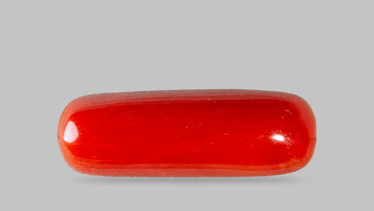 Italian Red Coral 7.50 Carats / 8.24 Ratti