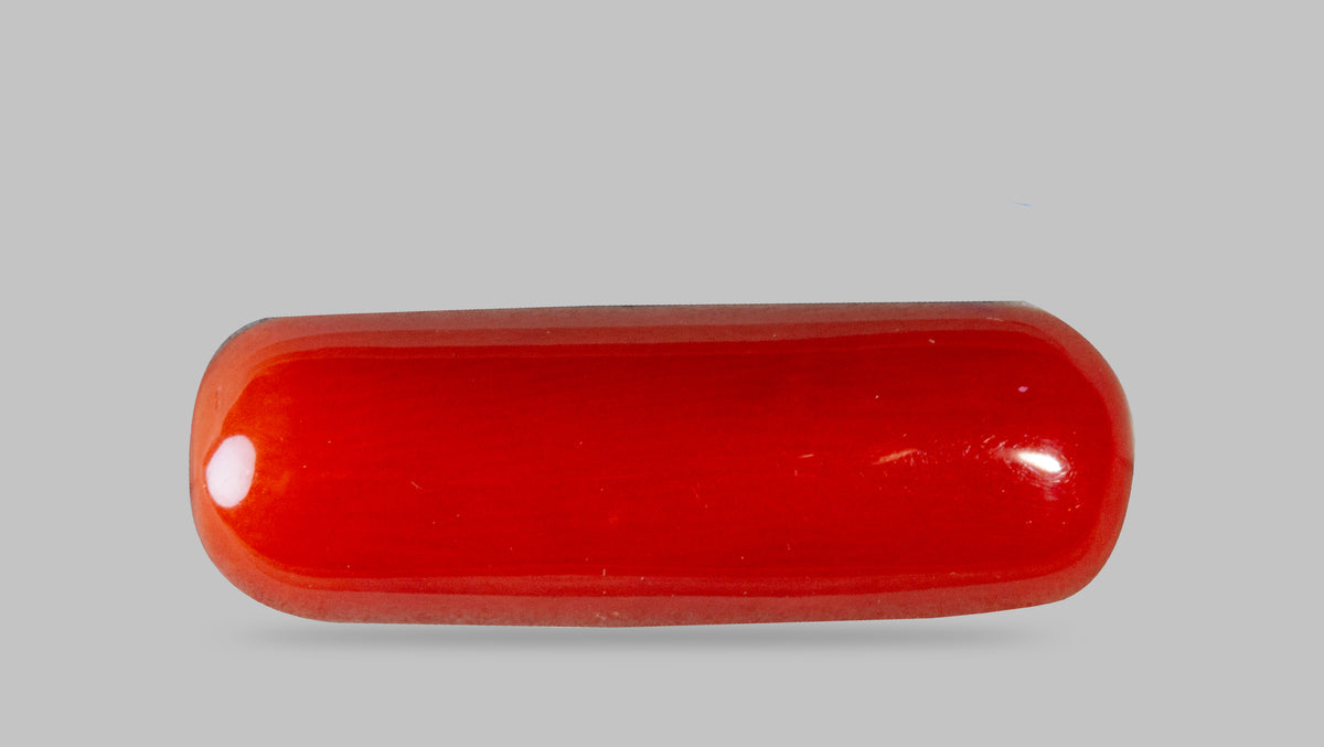 Italian Red Coral 8.59 Carats / 9.44 Ratti