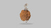 2 MUKHI RUDRAKSHA (26.58 mm) / 18.84 Ratti